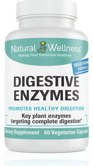Enzimas Digestivas Natural Well