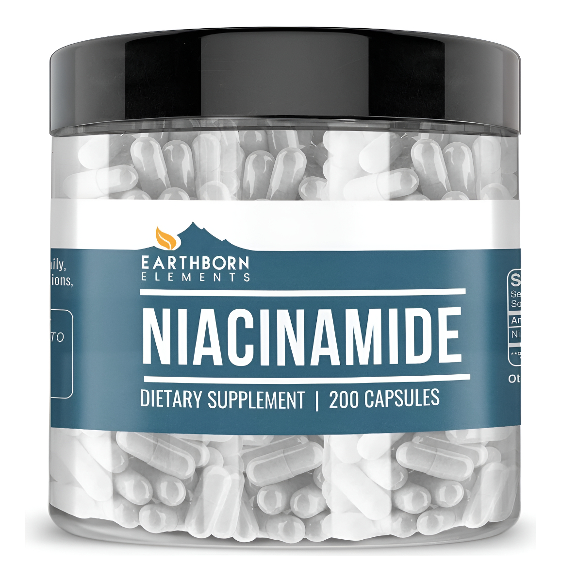 Niacinamide Vitamin B3 Earthbor