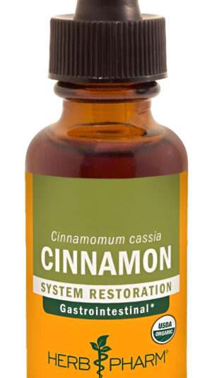 Canela Cinnamomum Apoyo Sistema Gastrointestinal 1 Onza