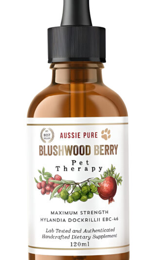 Pet Therapy Blushwood Berry Ebc-46 - Tintura - 4.1 Fl Oz - Máxima Resistencia - Probado En Laboratorio Y Certificado