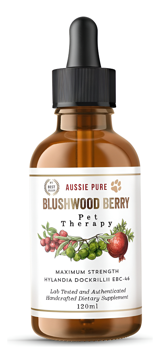 Pet Therapy Blushwood Berry Ebc-46 - Tintura - 4.1 Fl Oz - Máxima Resistencia - Probado En Laboratorio Y Certificado