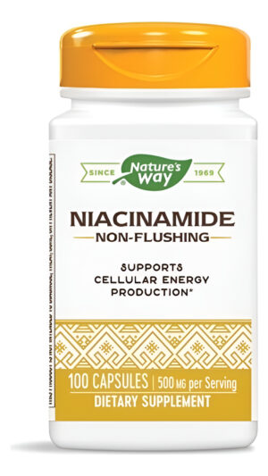 Niacinamide  500 Mg 100 Caps De Natures Way