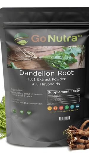 Go Nutra - Polvo De Raíz De Diente De León, Potente Extracto Natural 10:1 Con 4% De Flavonoides, 1 Lb