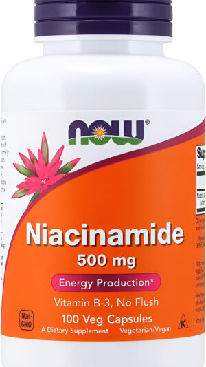 Now Foods Niacinamida 500mg 100 Cápsulas