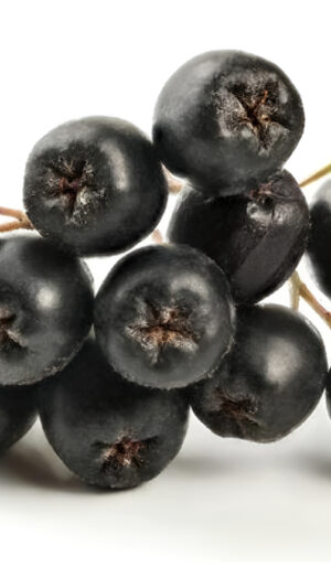 Bulk Naturals Extracto Botánico De Baya De Aronia En Polvo 0.18 Oz