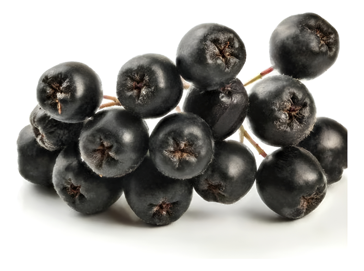 Bulk Naturals Extracto Botánico De Baya De Aronia En Polvo 0.18 Oz