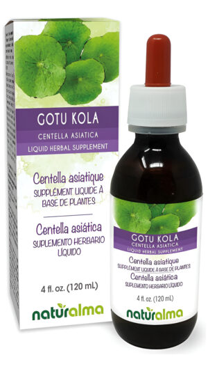 Naturalma Gotu Kola (centella Asiatica) Hierba Sin Alcohol Tintura 4 Fl Oz Extracto Líquido En Gotas | Suplemento Herba