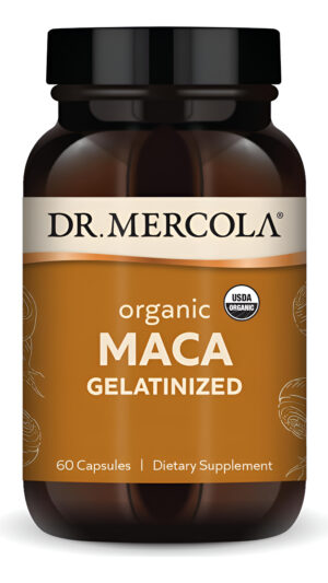 Dr. Mercola Suplemento Dietético Gelatinizado De Maca Orgánica (60 Cápsulas), Sin Omg, Sin Gluten