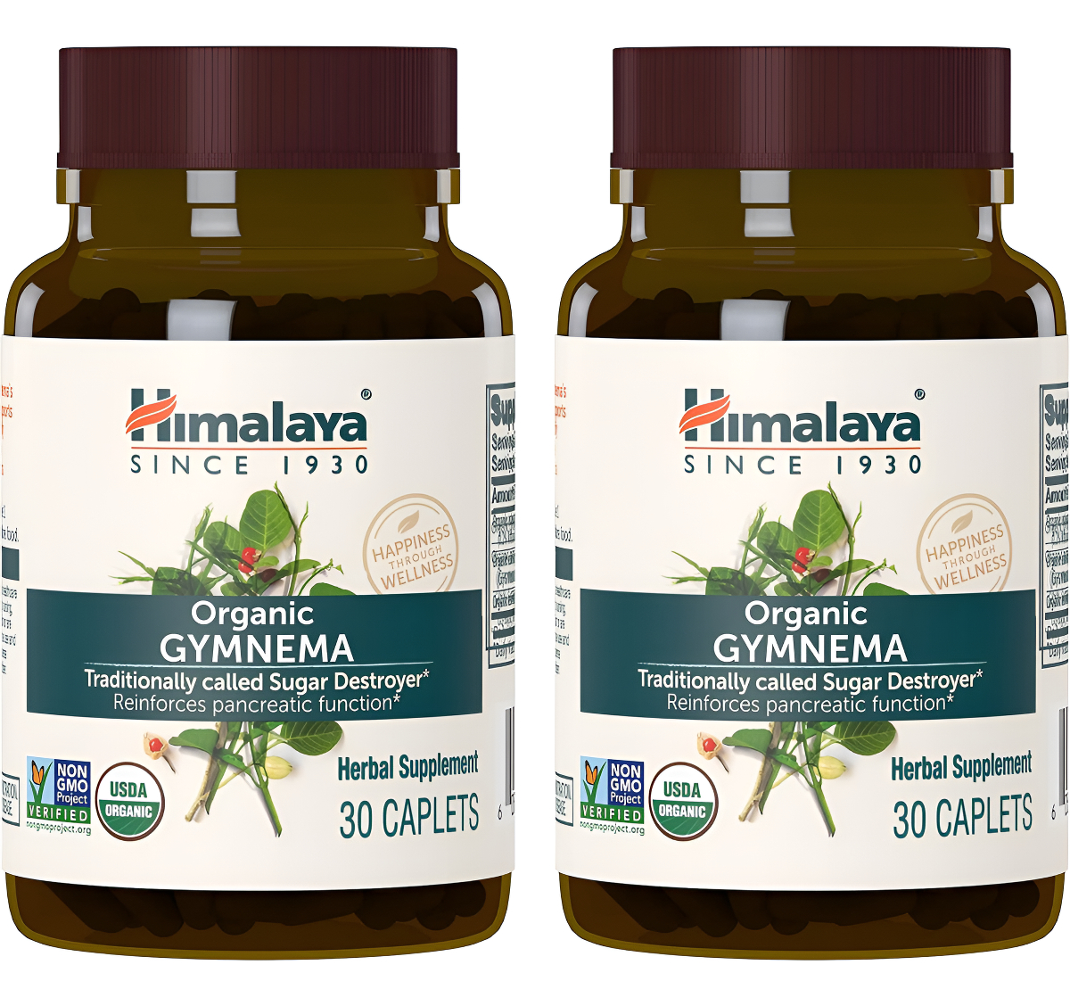 Himalaya Gymnema Sylvestre Orgánica Para El Metabolismo De La Glucosa, 700 Mg, 30 Tabletas, Paquete De 2