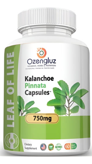 Kalanchoe Pinnata-leaf Of Life (bryophyllum Pinnatum) 60 Cápsulas De 750mg Botella.