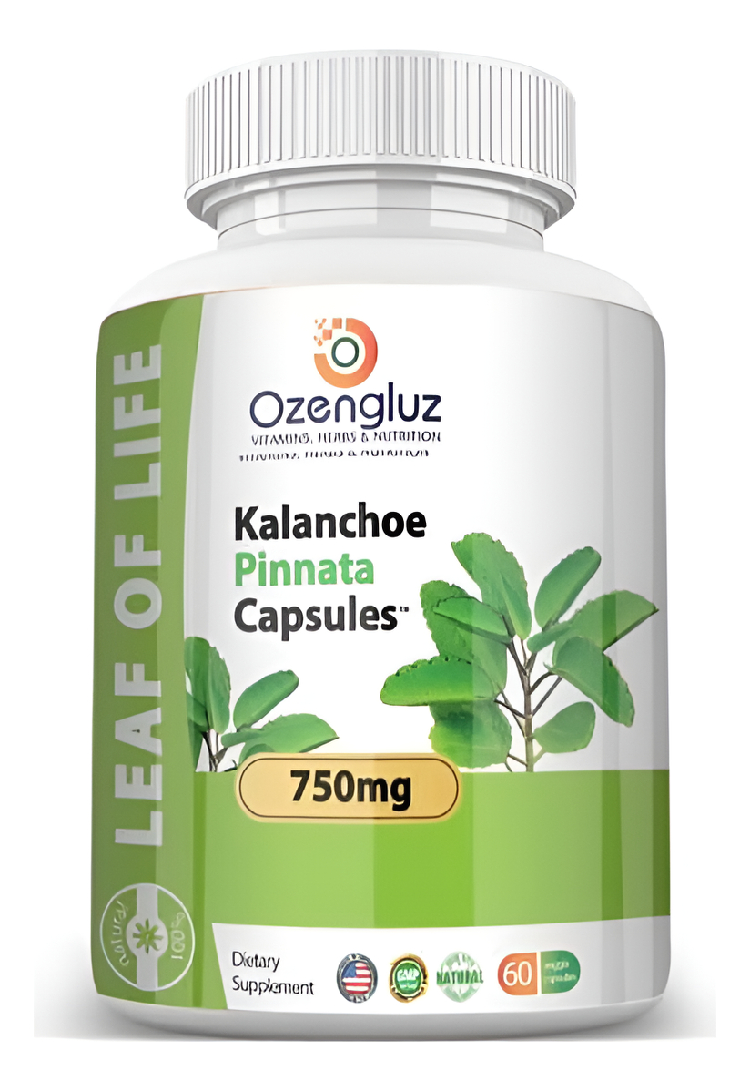 Kalanchoe Pinnata-leaf Of Life (bryophyllum Pinnatum) 60 Cápsulas De 750mg Botella.