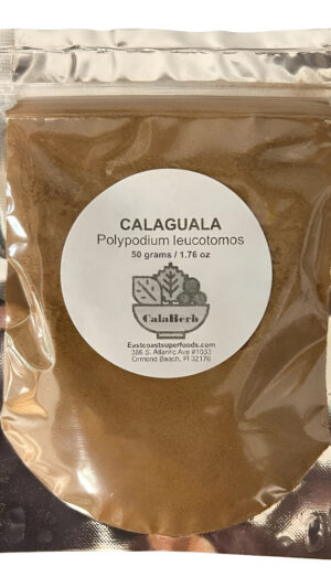 Calaguala Kalawalla Rizoma Suplemento En Polvo Polypodium Leucotomos De Florida Superfoods (a - 1.76 Oz/50 Gr)