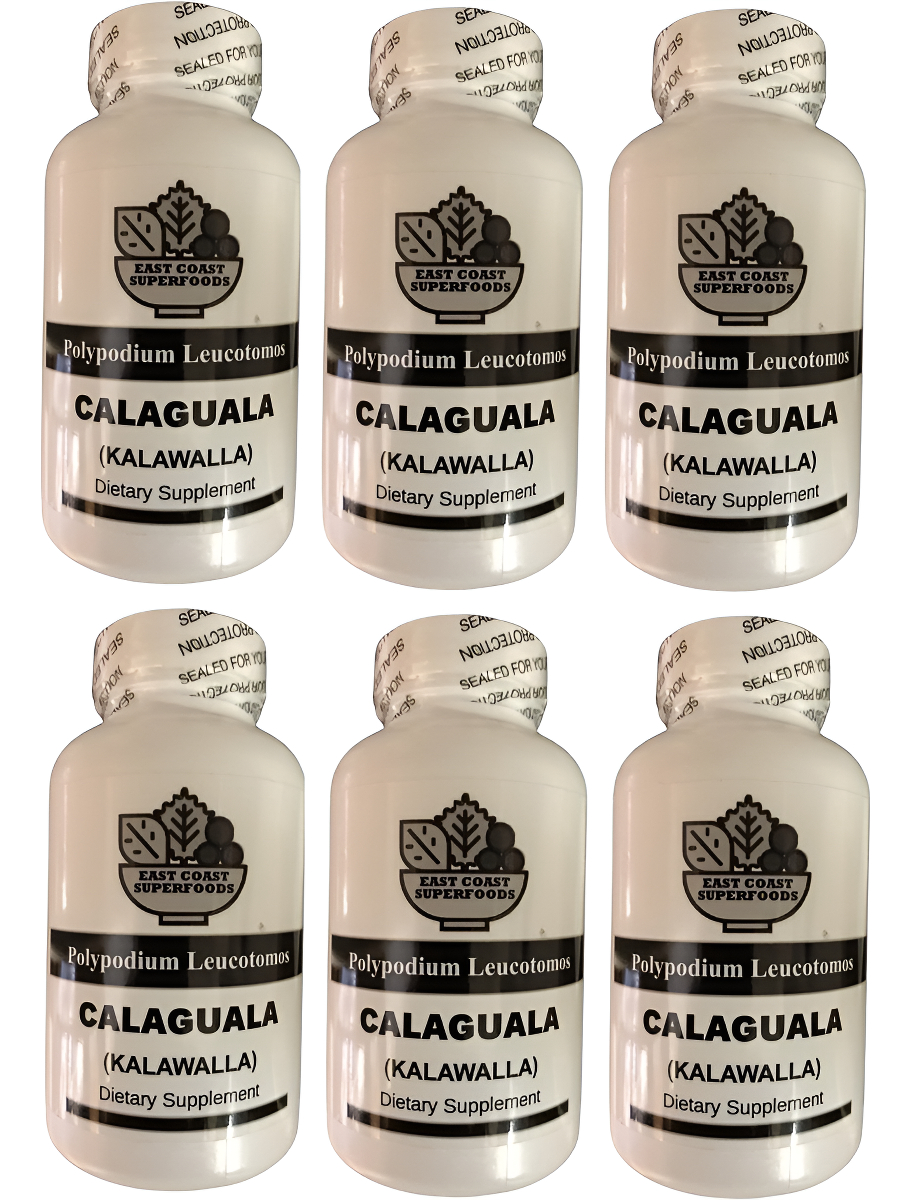 Calaguala 500 Mg 100 Cápsulas (kalawalla) Polypodium Leucotomos De Superfoods De La Costa Este (6)