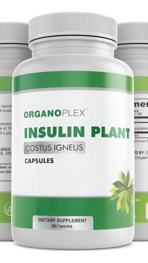 Cápsulas Vegetales De Insulina (costus Igneus), Suplemento 100% Natural, 360 Cápsulas Vegetales (suministro Para 2 Mese