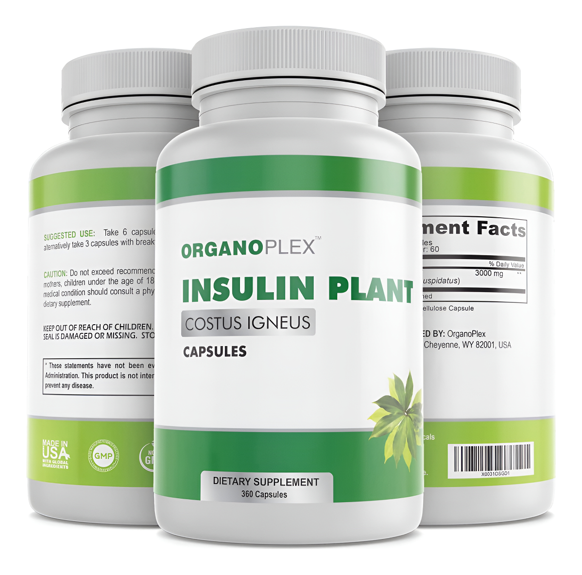 Cápsulas Vegetales De Insulina (costus Igneus), Suplemento 100% Natural, 360 Cápsulas Vegetales (suministro Para 2 Mese