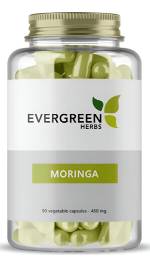 Evergreen Herbs Extracto De Moringa 90 Cápsulas, 450 Mg - Sellado Herméticamente Para Garantizar Frescura