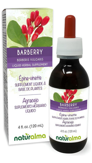 Agrejo (berberis Vulgaris) Corteza De Raíz Sin Alcohol Tintura Naturalma | Extracto Líquido De 4 Onzas Líquidas En Gota