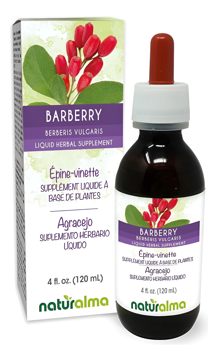Agrejo (berberis Vulgaris) Corteza De Raíz Sin Alcohol Tintura Naturalma | Extracto Líquido De 4 Onzas Líquidas En Gota