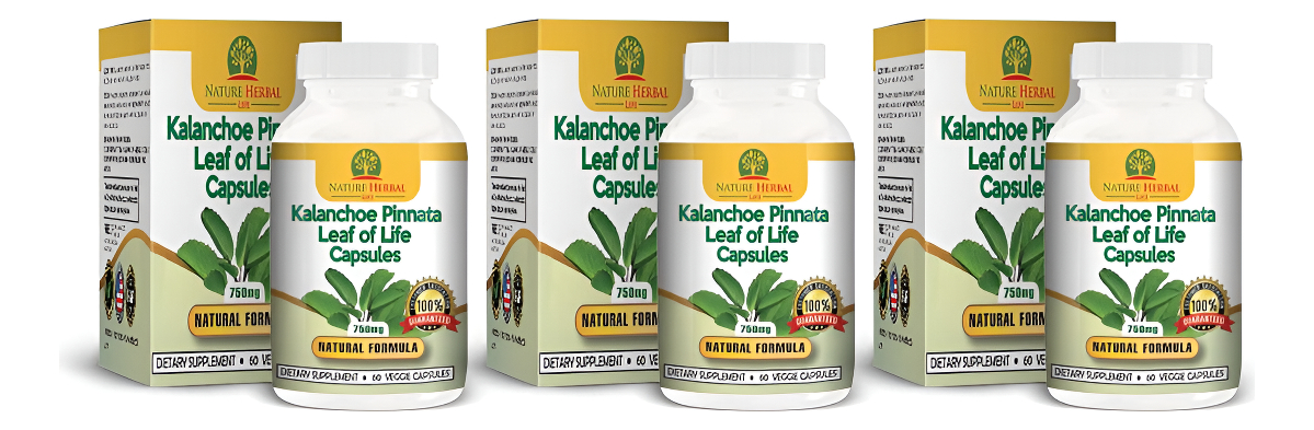 Kalanchoe Pinnata-leaf Of Life-cathedral Bells 750mg Cápsulas Vegetarianas. (3 Botellas) Suministro Para 90 Días. De Ka