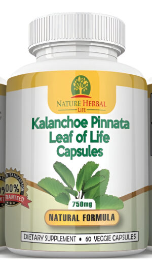 Nature Herbal Life Kalanchoe Pinnata-leaf Of Life (bryophyllum Pinnatum) Lao Di Sheng Gen, Cápsulas. 1 Botella-750 Mg,