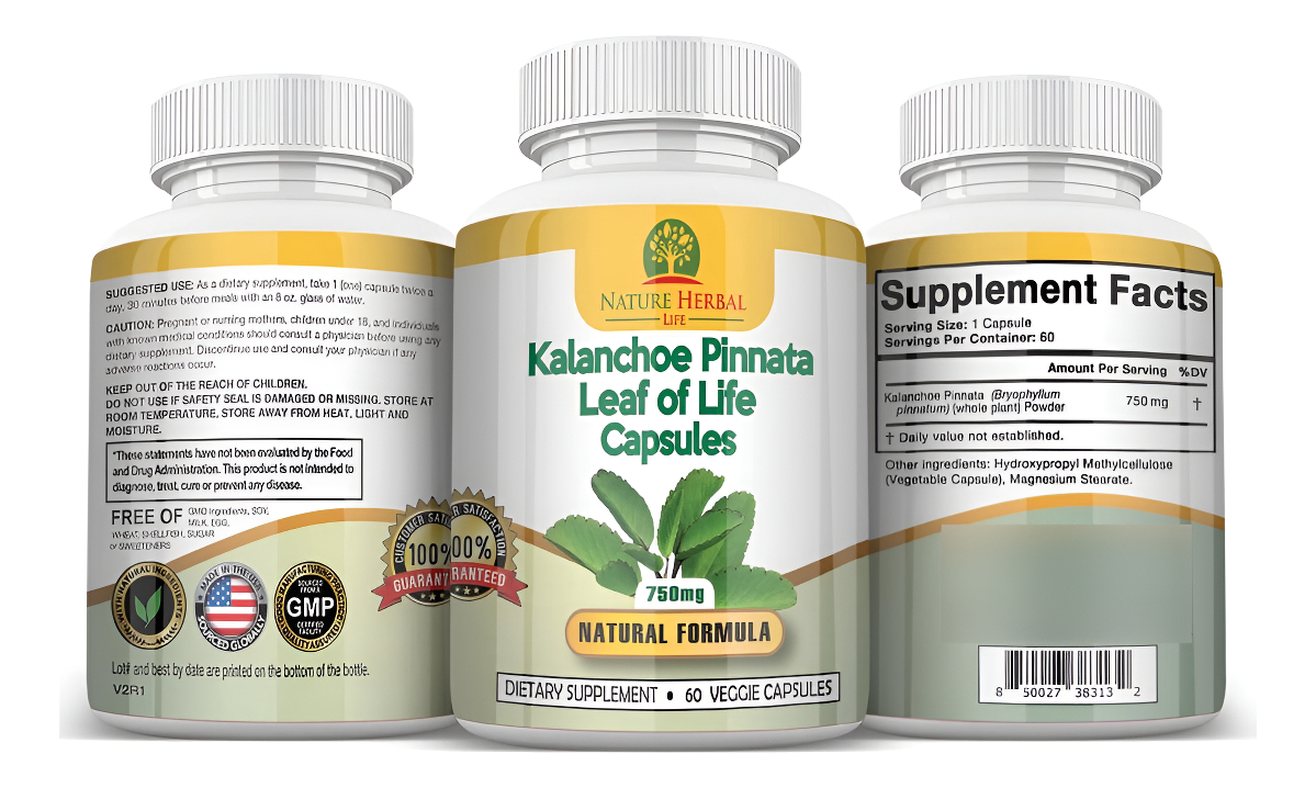 Nature Herbal Life Kalanchoe Pinnata-leaf Of Life (bryophyllum Pinnatum) Lao Di Sheng Gen, Cápsulas. 1 Botella-750 Mg,