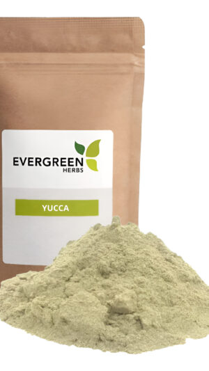 Yuca Powder - Polvo De Yuca - 8 Onzas - Bolsa De Pie Resellable Para Garantizar La Frescura