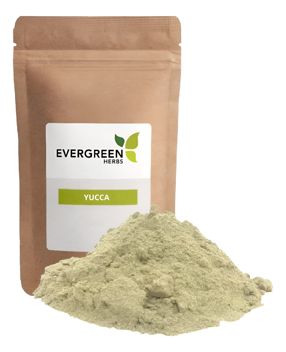 Yuca Powder - Polvo De Yuca - 8 Onzas - Bolsa De Pie Resellable Para Garantizar La Frescura