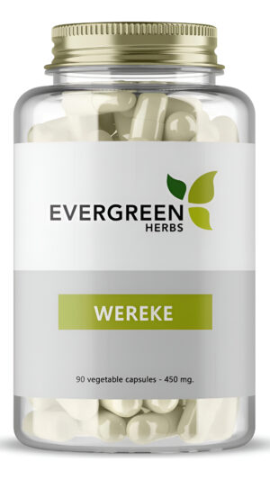 Wereque (wereke) Cápsulas - 450 Mg - 90 Cápsulas (1 Botella) - Ibervillea Sonorae, Huereque, Guareque, Wareki, Wereque