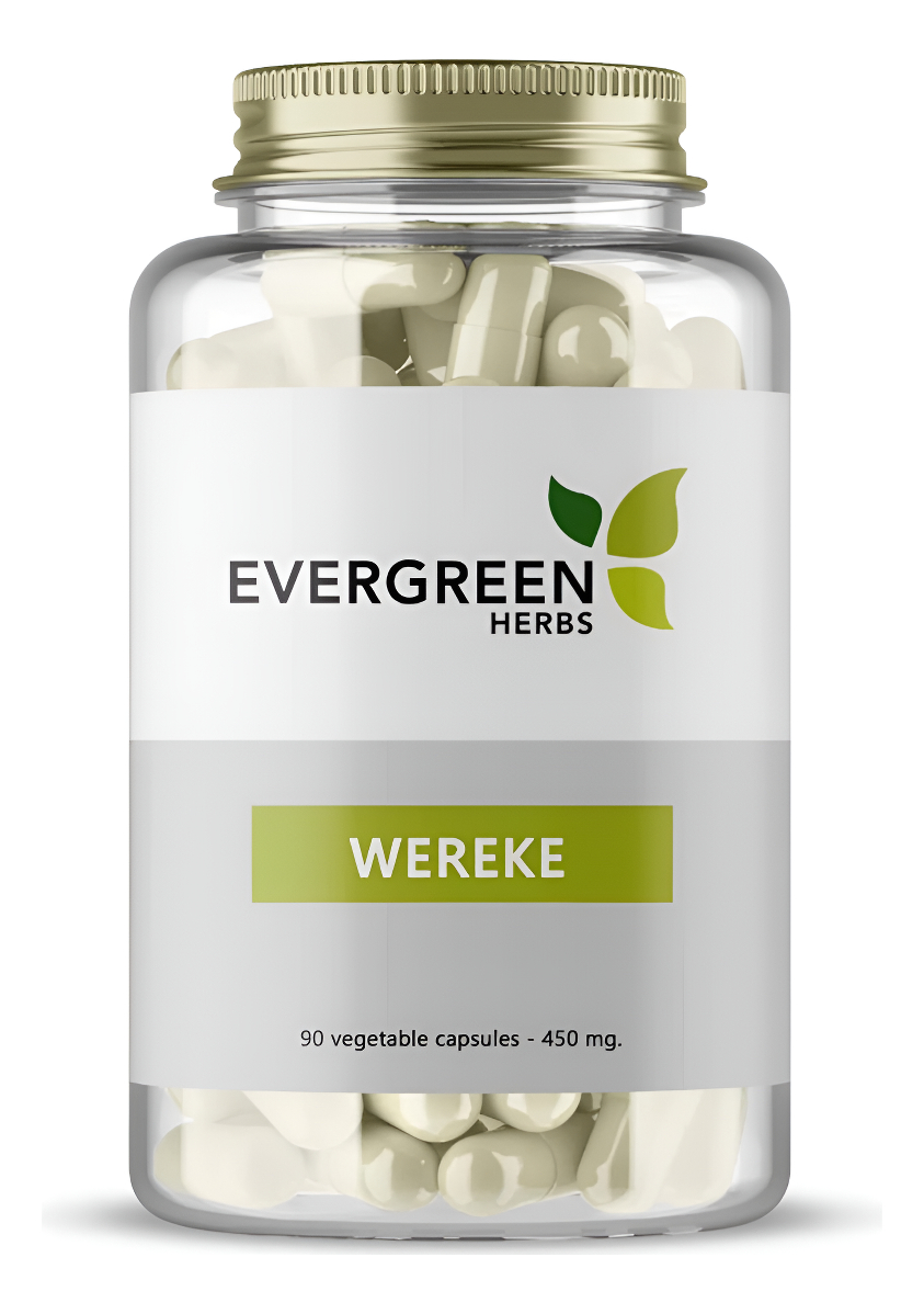 Wereque (wereke) Cápsulas - 450 Mg - 90 Cápsulas (1 Botella) - Ibervillea Sonorae, Huereque, Guareque, Wareki, Wereque