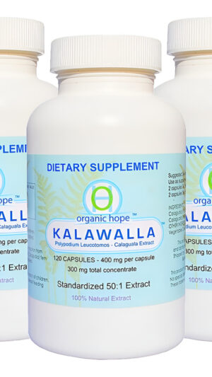 (calaguala Con Polypodium Leucotomos Para El Apoyo Del Sistema Inmunológico, Extracto 50:1 De Mayor Potencia 400 Mg