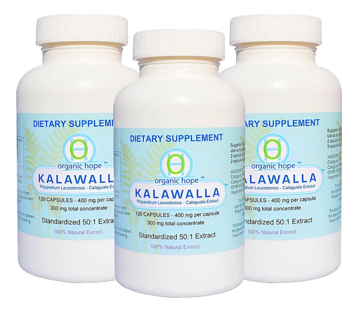 (calaguala Con Polypodium Leucotomos Para El Apoyo Del Sistema Inmunológico, Extracto 50:1 De Mayor Potencia 400 Mg
