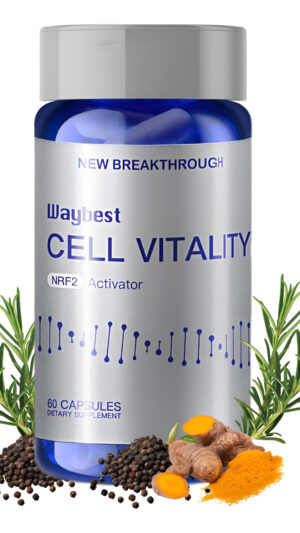 Waybest - Suplementos Antioxidantes Activadores Nrf2 Para Vitalidad Celular, 60 Cápsulas (1 Botella), Reduce El Estrés
