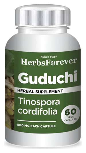 Herbsforever Cápsulas Guduchi  Tinospora Cordifolia  Suplemento Purificador De Sangre  60 Cápsulas Vegetales  800 Mg Cada Una