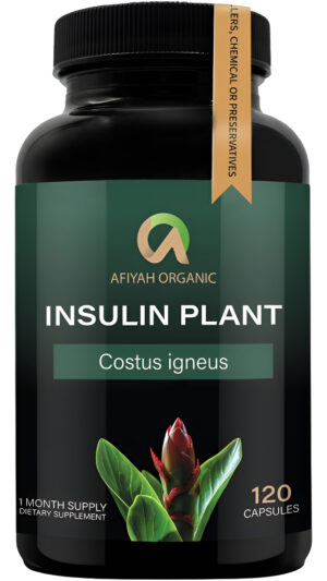 Cápsulas Naturales De Costus Igneus (planta De Insulina) - Fácil De Tragar 120 Cápsulas Veganas (suplemento De 1 Mes)
